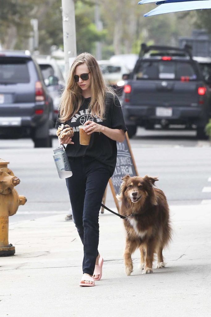 Amanda Seyfried Was Spotted With Her Dog Finn in Los Angeles 08/24/2017-2