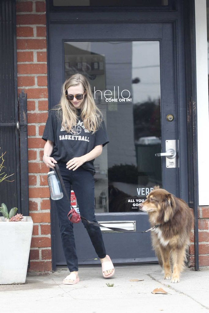 Amanda Seyfried Was Spotted With Her Dog Finn in Los Angeles 08/24/2017-3