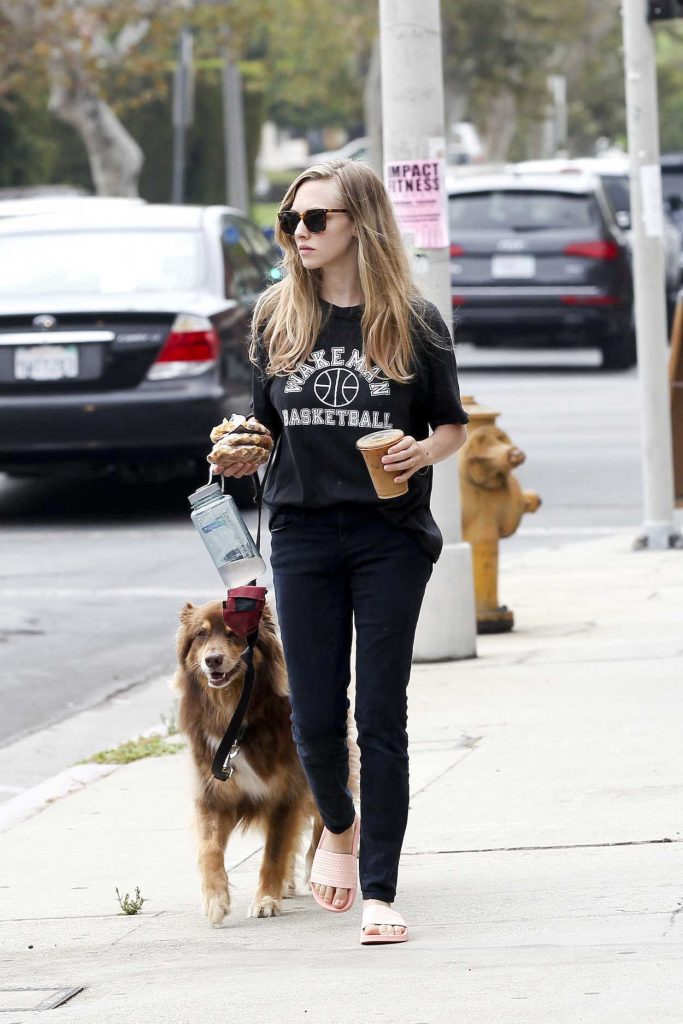 Amanda Seyfried Was Spotted With Her Dog Finn in Los Angeles 08/24/2017-4