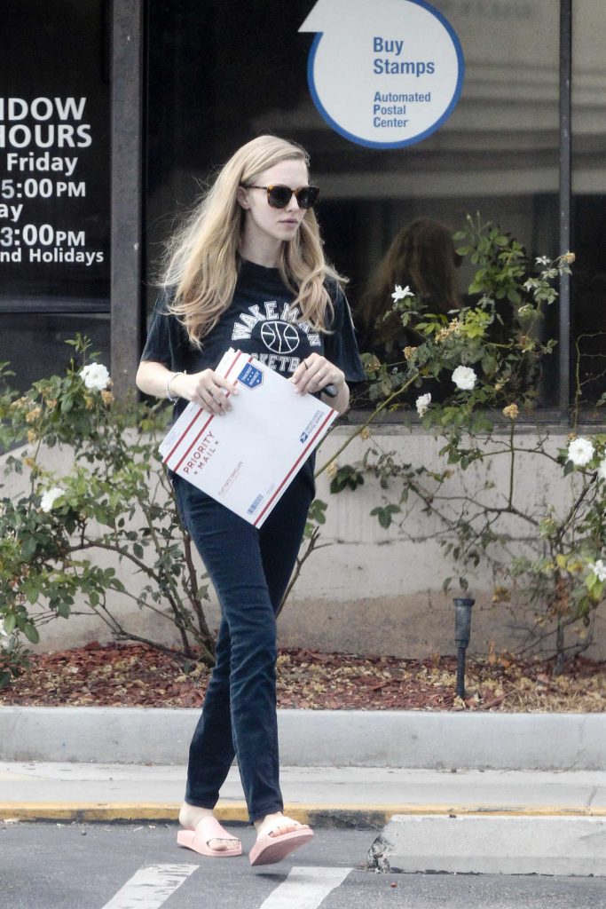 Amanda Seyfried Was Spotted With Her Dog Finn in Los Angeles 08/24/2017-5