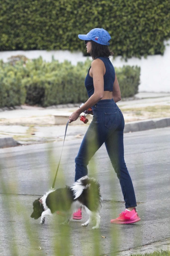 Nina Dobrev Walks Her Dog Maverick in LA 08/15/2017-4