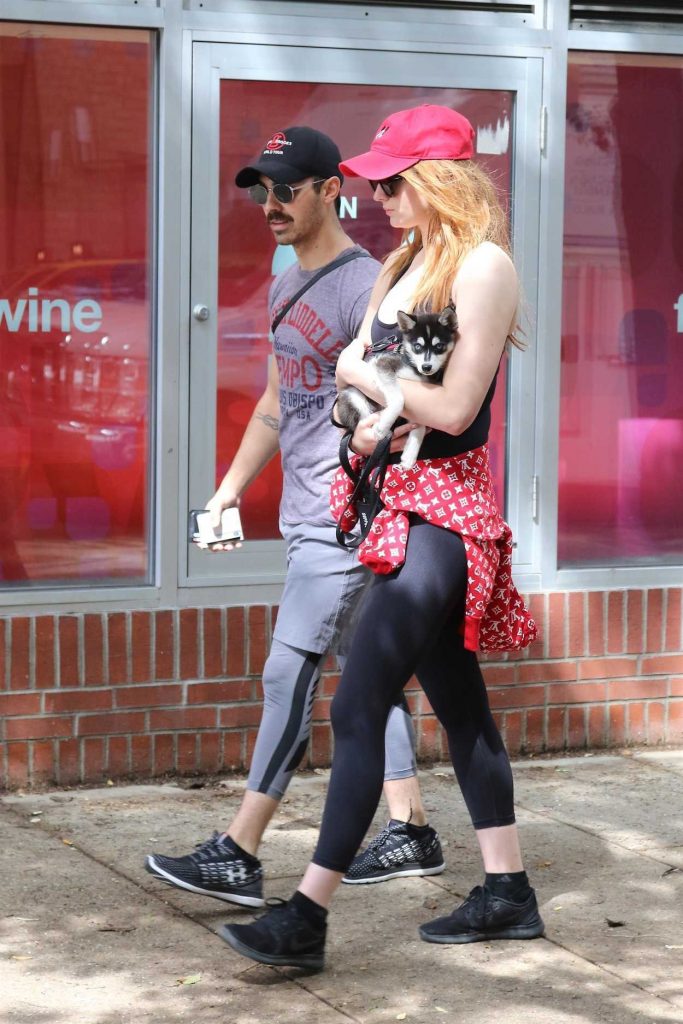 Sophie Turner Steps out With Joe Jonas and a Puppy in New York 09/09/2017-4