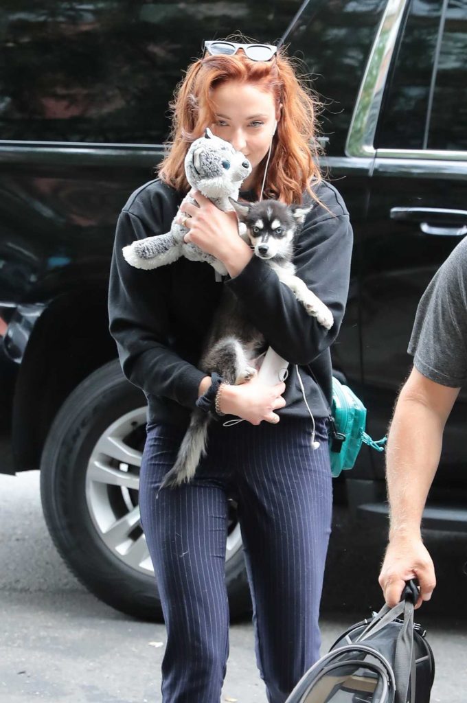 Sophie Turner Was Seen Out With Her Adorable Puppy Porky in NYC 09/14/2017-2