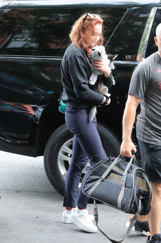 Sophie Turner Was Seen Out With Her Adorable Puppy Porky in NYC 09/14/2017-3