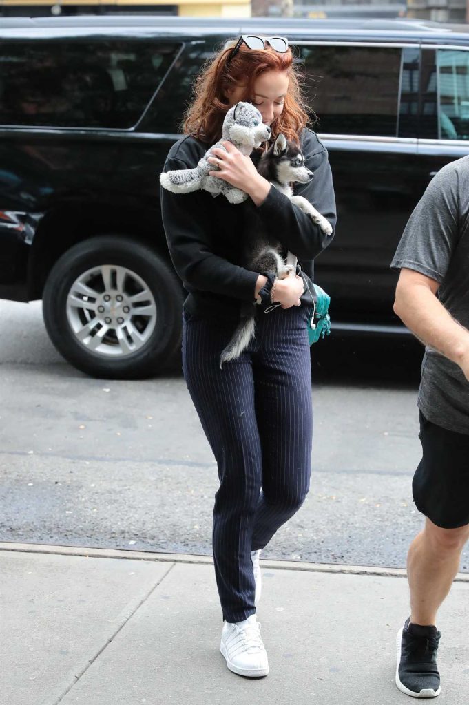 Sophie Turner Was Seen Out With Her Adorable Puppy Porky in NYC 09/14/2017-4