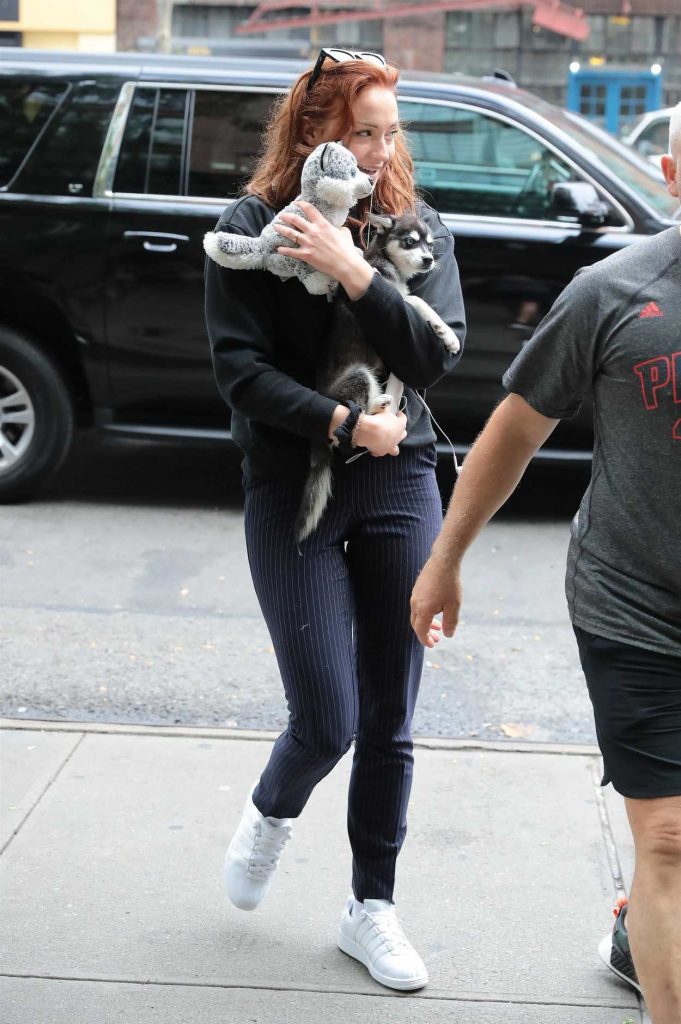Sophie Turner Was Seen Out With Her Adorable Puppy Porky in NYC 09/14/2017-5