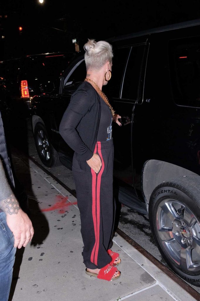 Pink Was Seen Out in New York City 10/11/2017-1