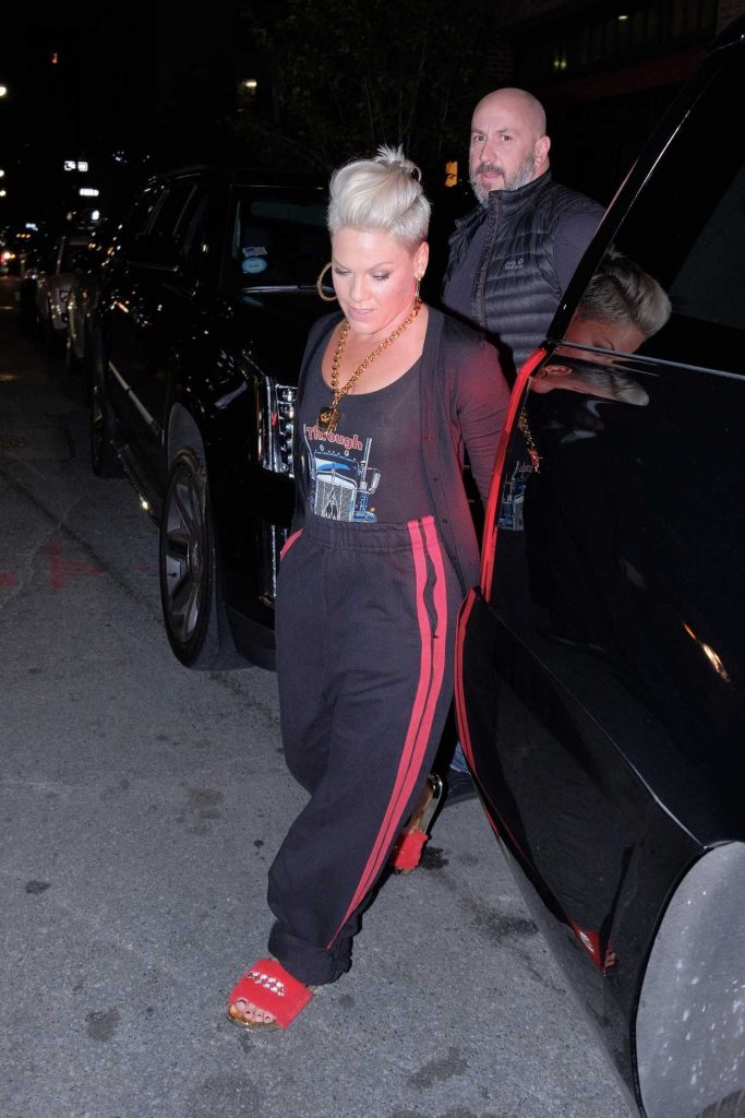 Pink Was Seen Out in New York City 10/11/2017-2