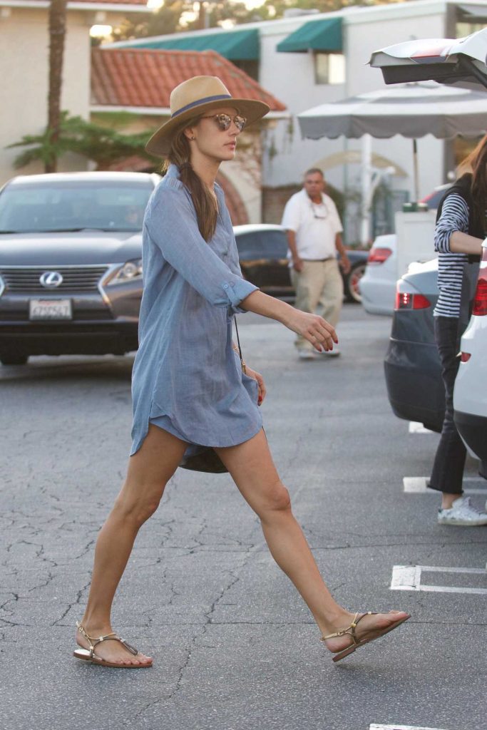 Alessandra Ambrosio Was Seen Out in Brentwood 11/22/2017-4