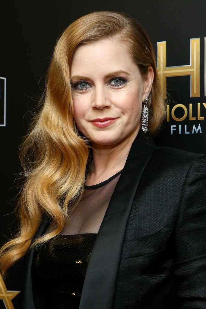 Amy Adams at the 21st Annual Hollywood Film Awards in Los Angeles 11/05/2017-5