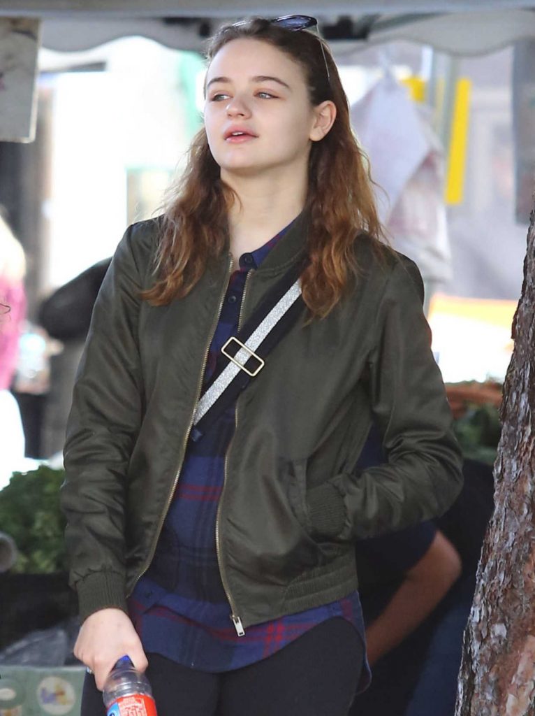Joey King Was Seen at the Local Farmer's Market in Studio City 11/19/2017-5