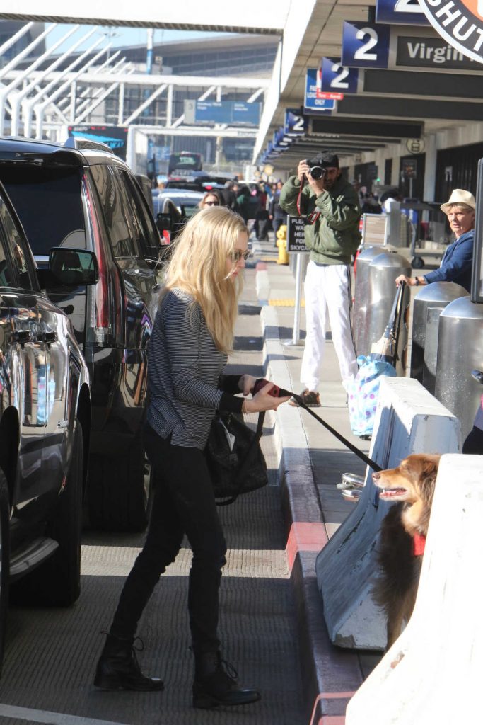 Amanda Seyfried Arrives at LAX Airport in LA 12/15/2017-4