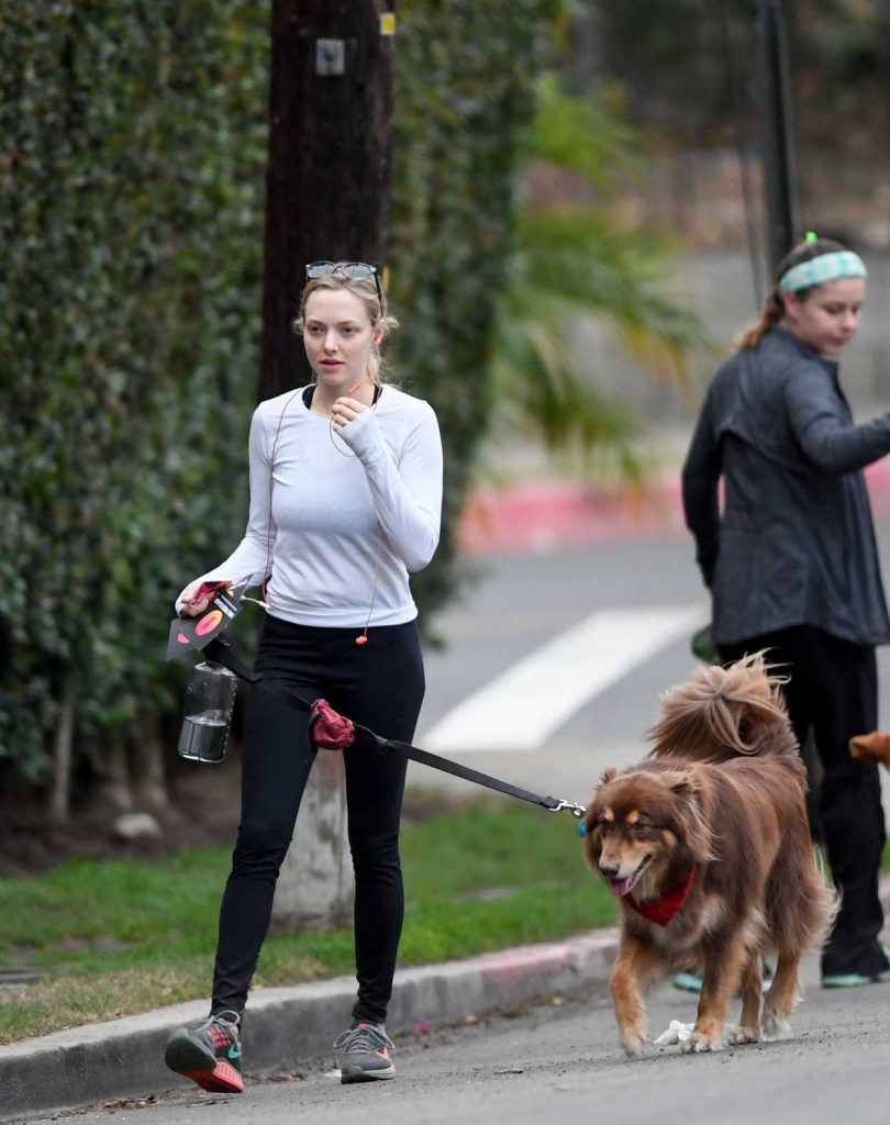 Amanda Seyfried Takes Her Dog Finn for a Hike at Runyon Canyon in Los Angeles 11/28/2017-2