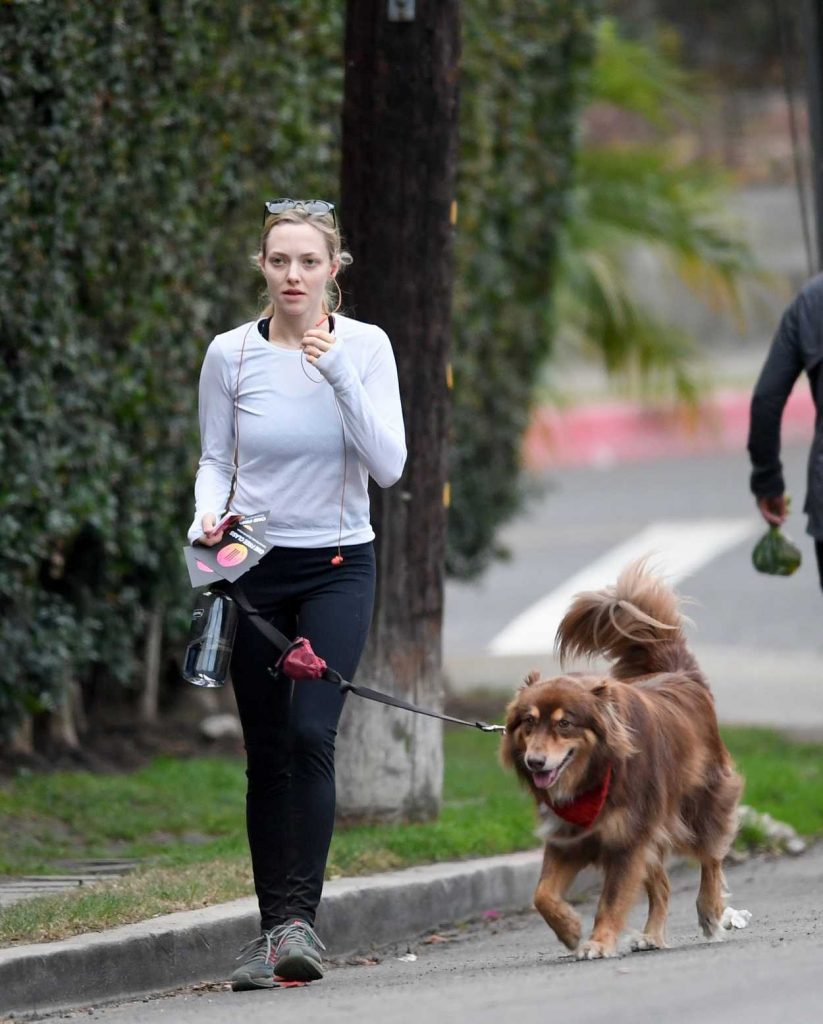 Amanda Seyfried Takes Her Dog Finn for a Hike at Runyon Canyon in Los Angeles 11/28/2017-3