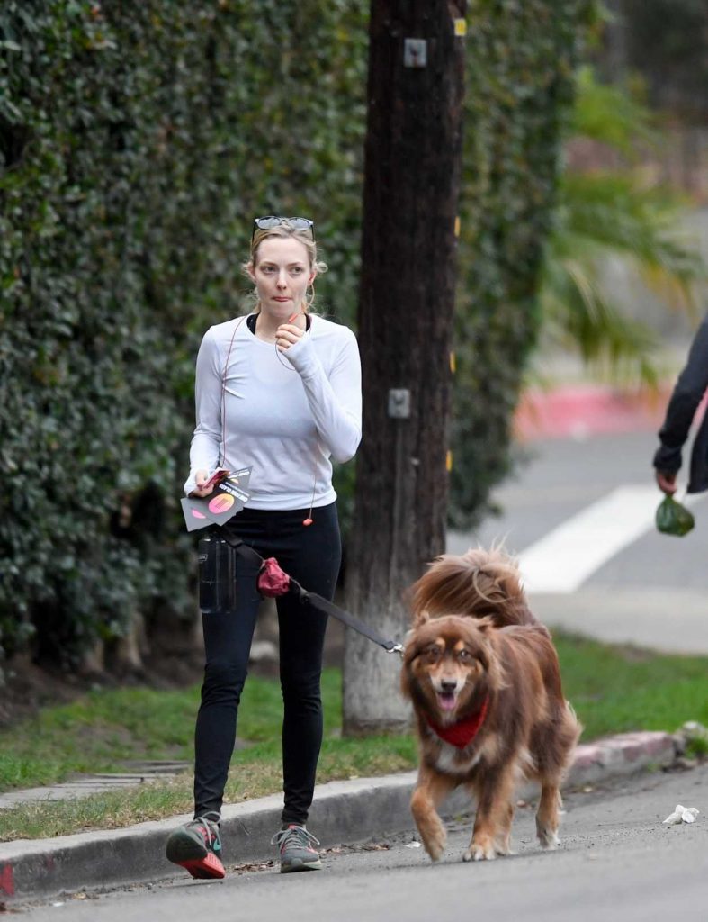 Amanda Seyfried Takes Her Dog Finn for a Hike at Runyon Canyon in Los Angeles 11/28/2017-4