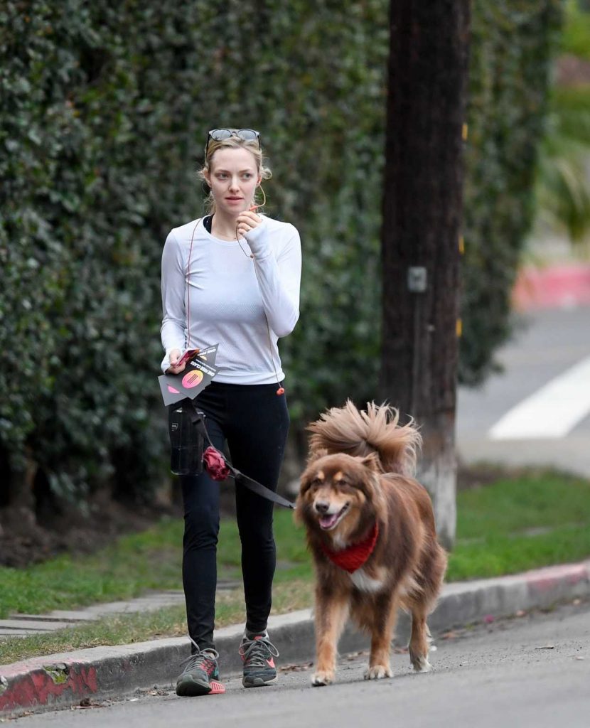 Amanda Seyfried Takes Her Dog Finn for a Hike at Runyon Canyon in Los Angeles 11/28/2017-5