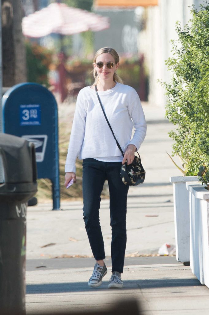 Amanda Seyfried Was Seen Out in Los Angeles 12/06/2017-2