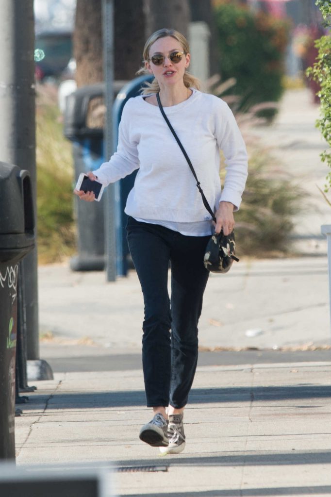 Amanda Seyfried Was Seen Out in Los Angeles 12/06/2017-3