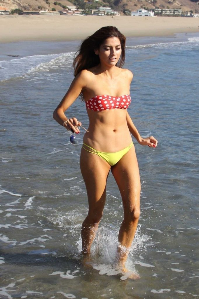 Blanca Blanco in Bikini at the Matador Beach in Malibu 12/15/2017-1