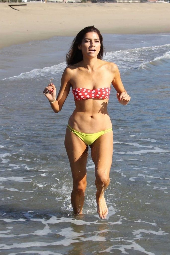 Blanca Blanco in Bikini at the Matador Beach in Malibu 12/15/2017-2