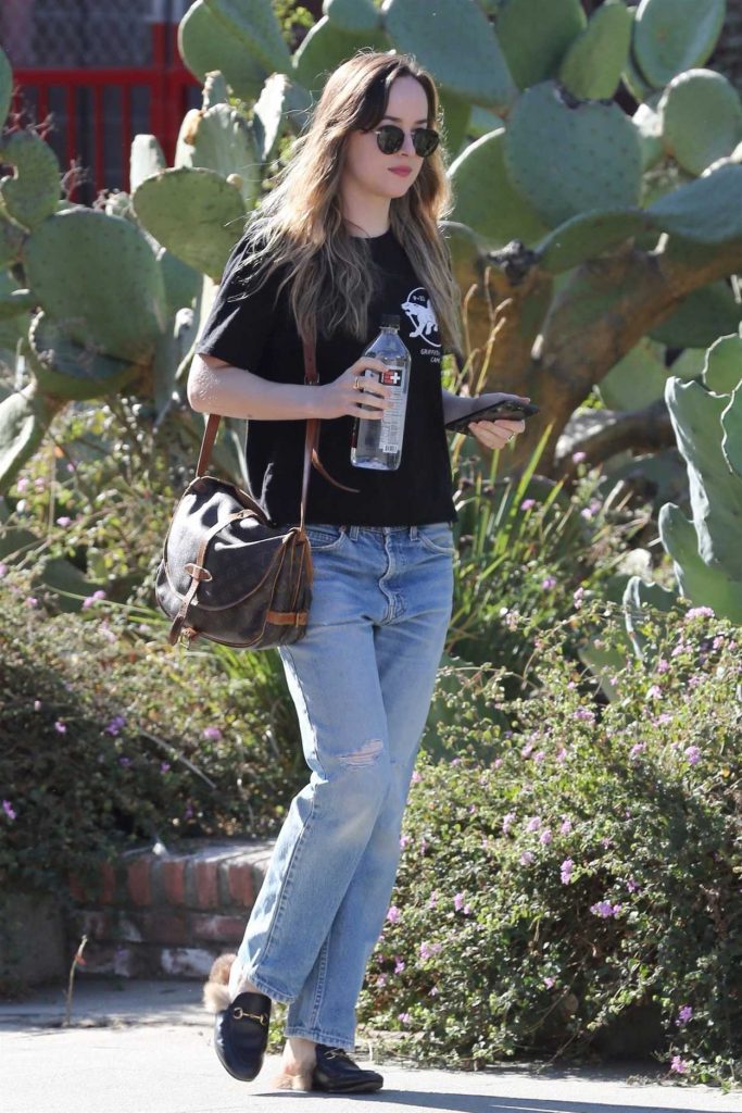 Dakota Johnson Was Seen Out in Hollywood 12/07/2017-2