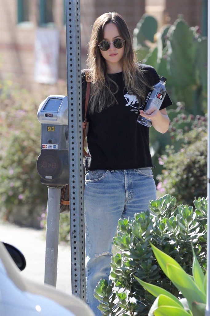 Dakota Johnson Was Seen Out in Hollywood 12/07/2017-5