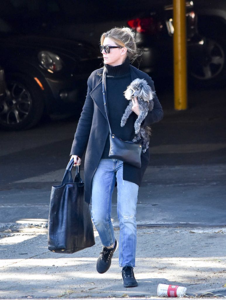 Ellen Pompeo Was Seen Out in Los Angeles 12/21/2017-2