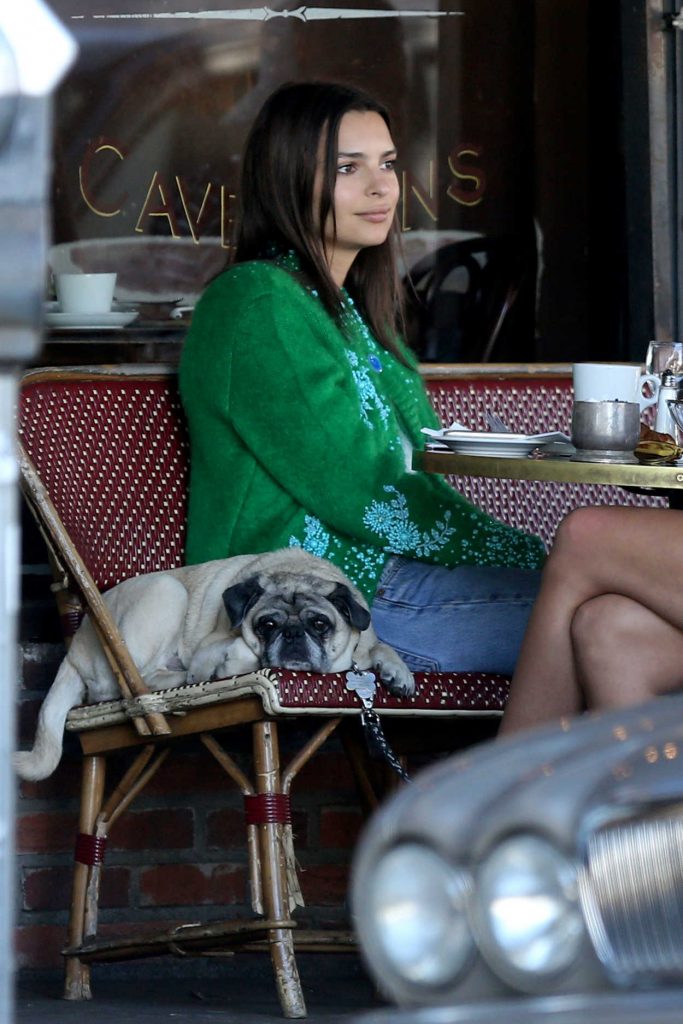 Emily Ratajkowski Enjoys a Coffee at Figaro Bistro in Los Feliz 11/28/2017-1