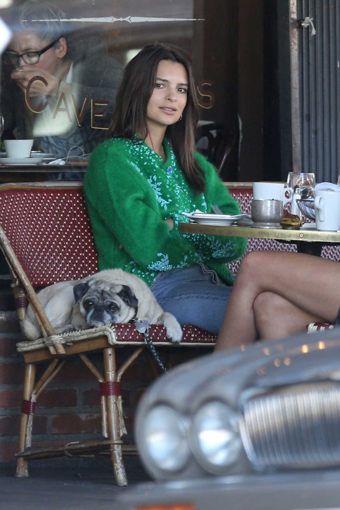 Emily Ratajkowski Enjoys a Coffee at Figaro Bistro in Los Feliz 11/28/2017-2