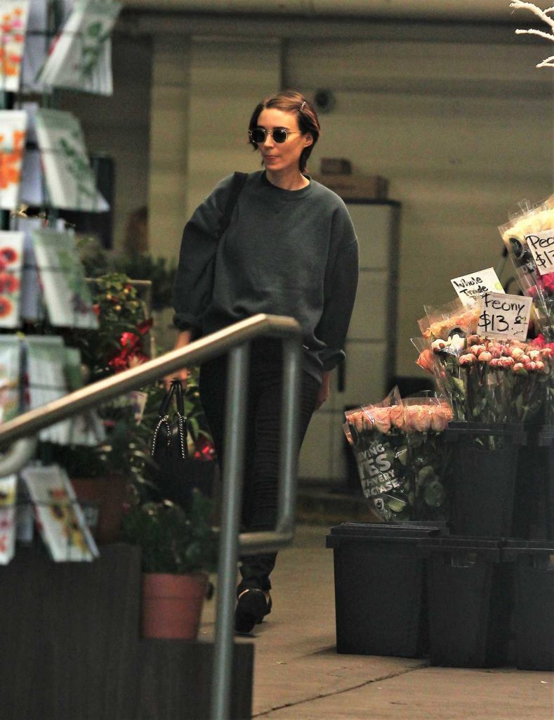 Rooney Mara Leaves a Grocery Store in Beverly Hills 12/09/2017-2