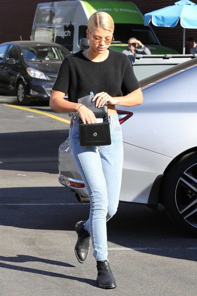 Sofia Richie Was Seen Out in Beverly Hills 12/16/2017-3