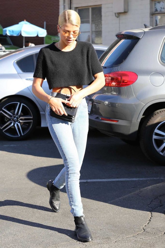 Sofia Richie Was Seen Out in Beverly Hills 12/16/2017-4