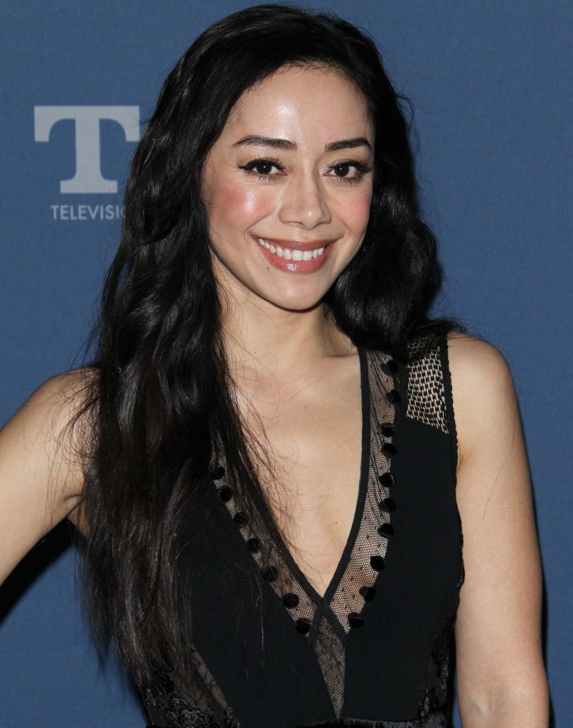 Aimee Garcia at the Fox Winter TCA 2018 All-Star Party in Pasadena 01/04/2018-5