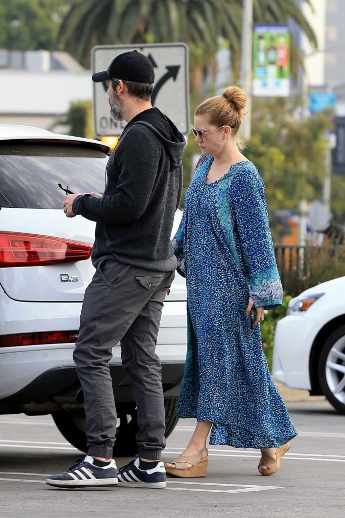 Amy Adams Leaves a Veterinarian Office in West Hollywood 01/02/2018-2