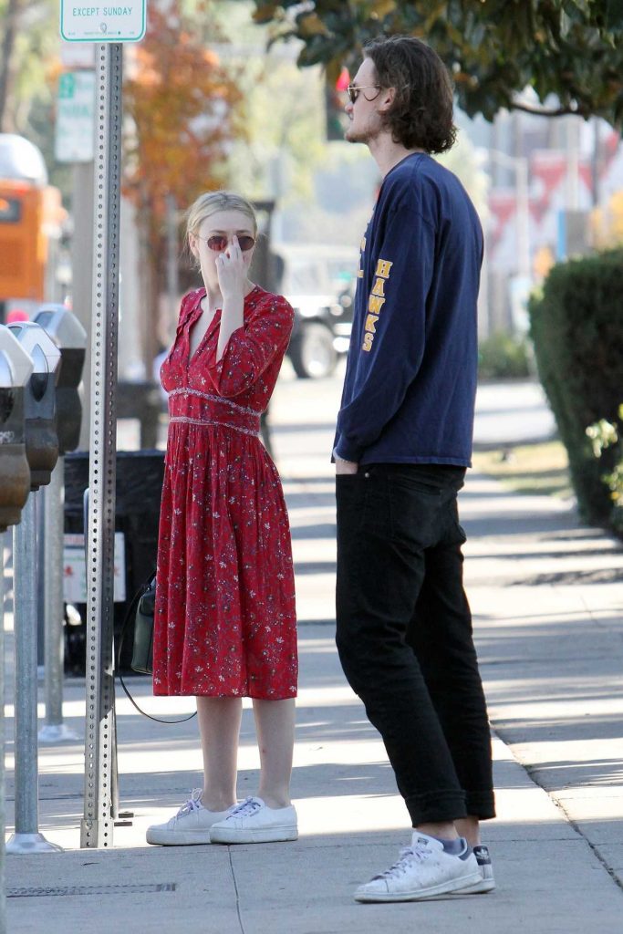 Dakota Fanning Was Spotted Out with Friends in Studio City 12/30/2017-3