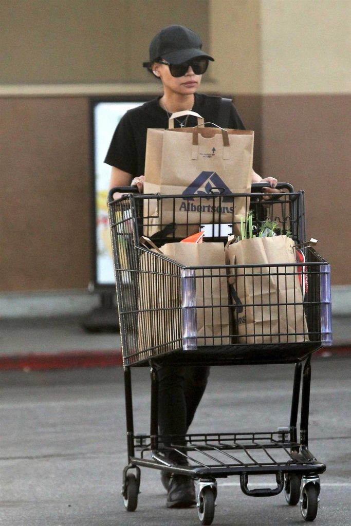 Naya Rivera Goes Grocery Shopping in Los Angeles 01/17/2018-1