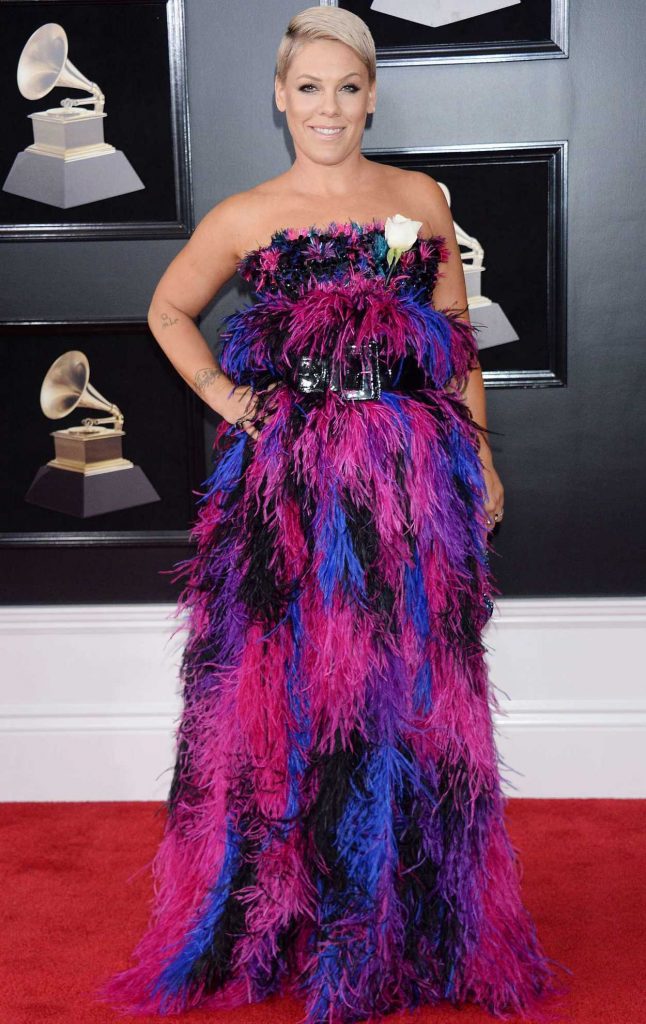 Pink at the 60th Annual Grammy Awards at Madison Square Garden in New York City 01/28/2018-1