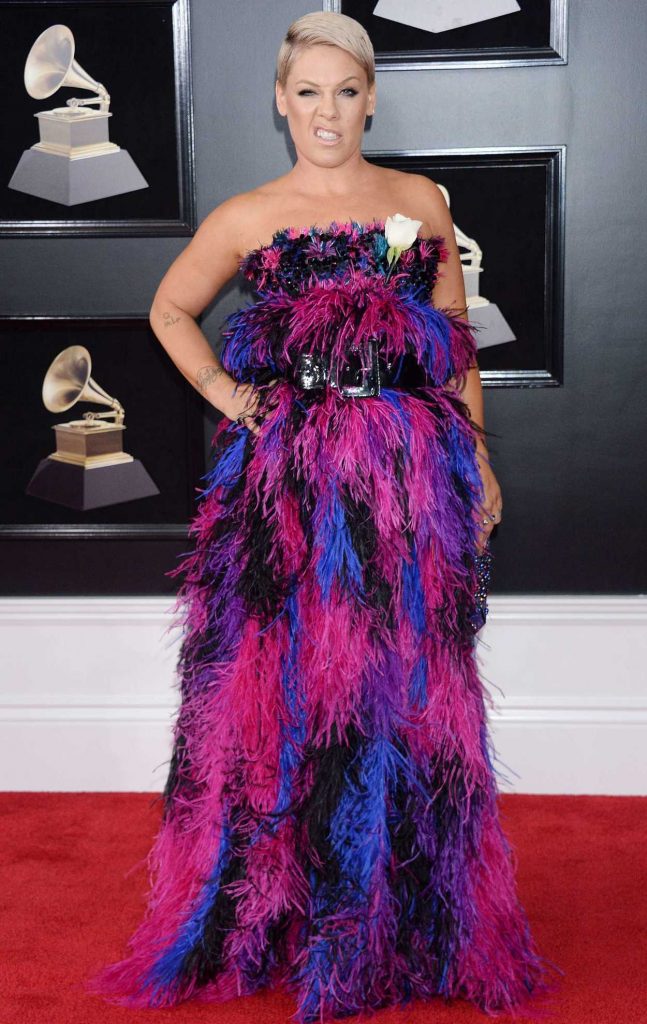 Pink at the 60th Annual Grammy Awards at Madison Square Garden in New York City 01/28/2018-2