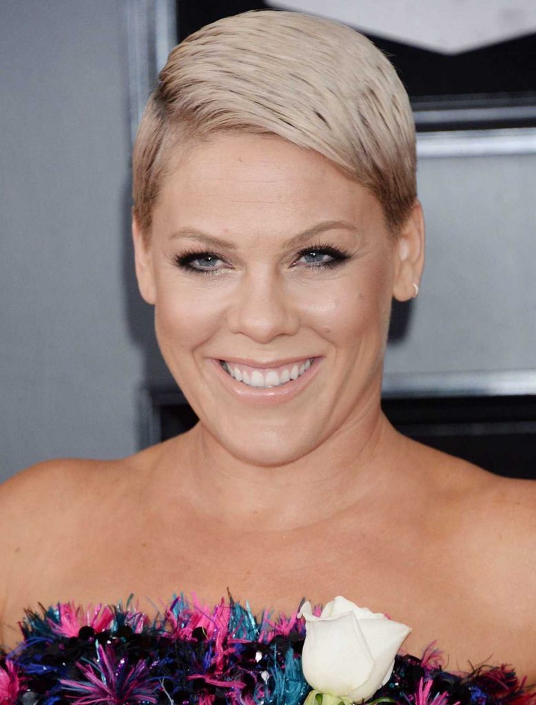 Pink at the 60th Annual Grammy Awards at Madison Square Garden in New York City 01/28/2018-3