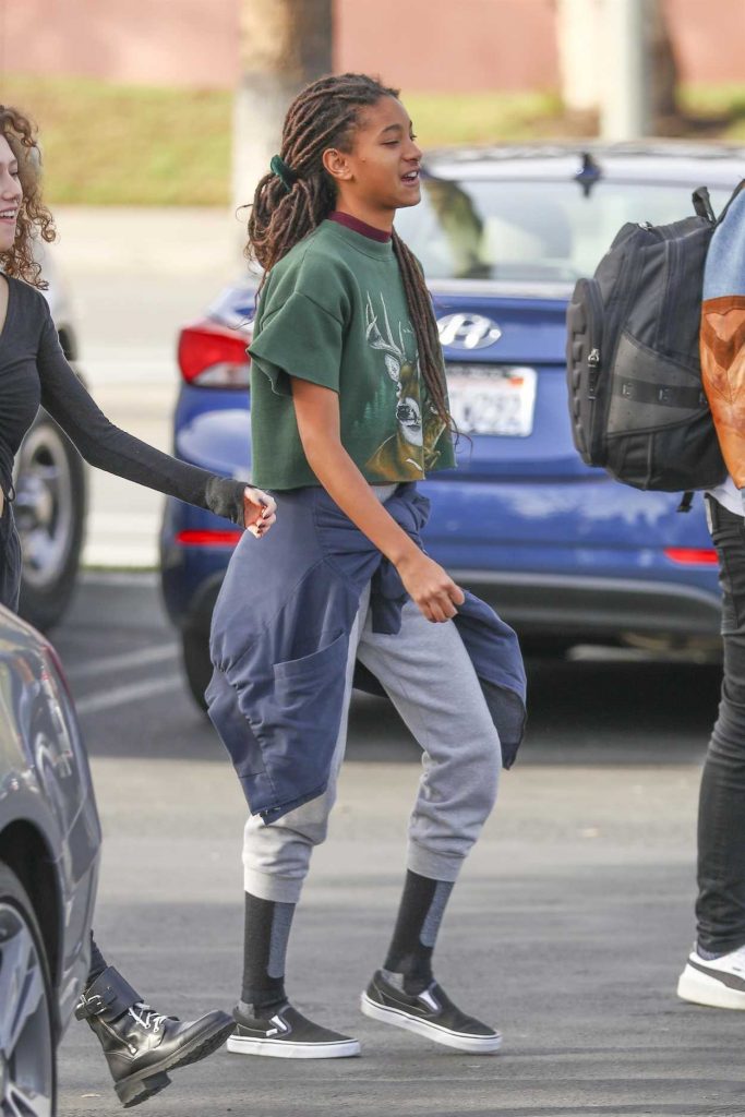 Willow Smith Was Seen Out with Friends in Calabasas 01/15/2018-1