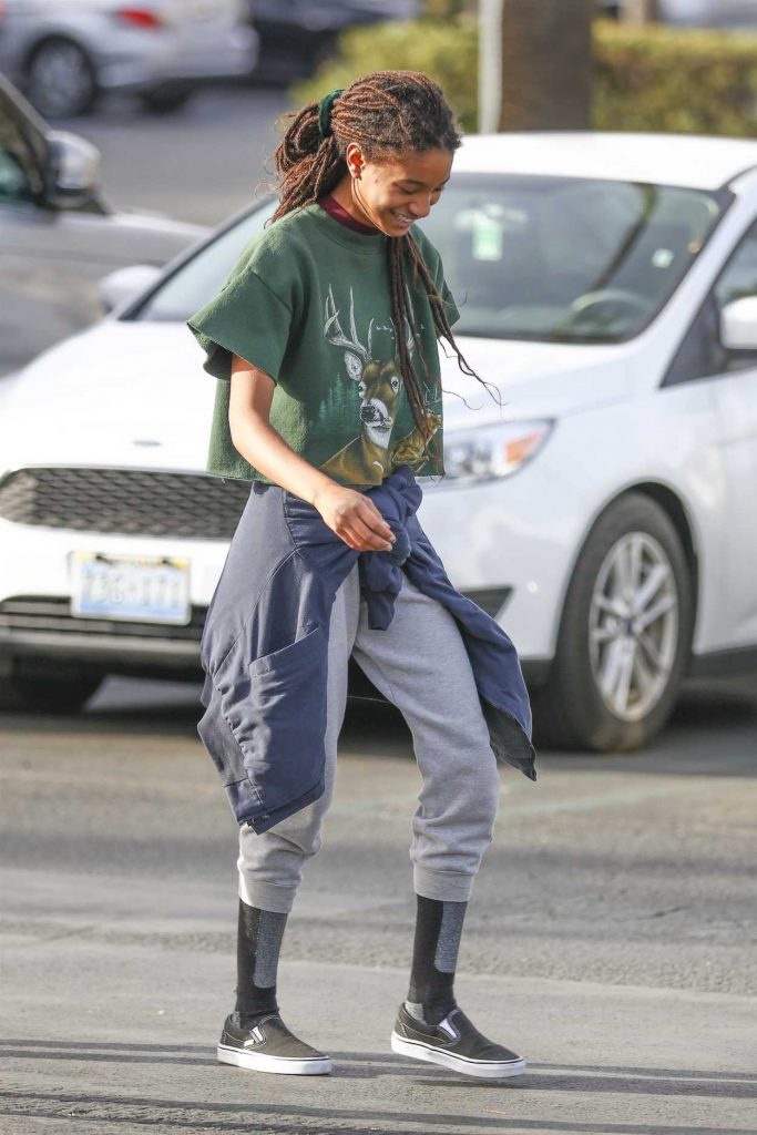 Willow Smith Was Seen Out with Friends in Calabasas 01/15/2018-2