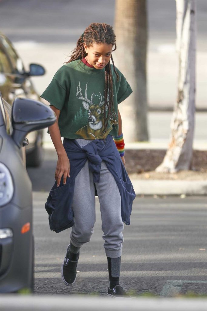 Willow Smith Was Seen Out with Friends in Calabasas 01/15/2018-4