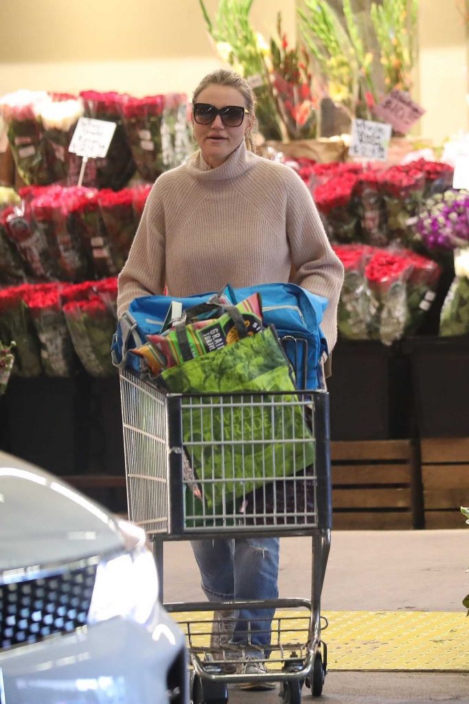Cameron Diaz Goes Shopping at Local Whole Foods in Beverly Hills 02/18/2018-3