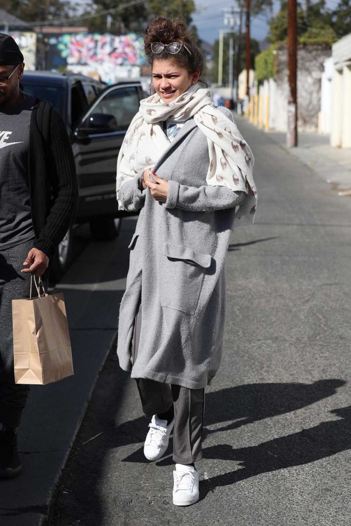 Zendaya Was Seen Out in West Hollywood 02/22/2018-1