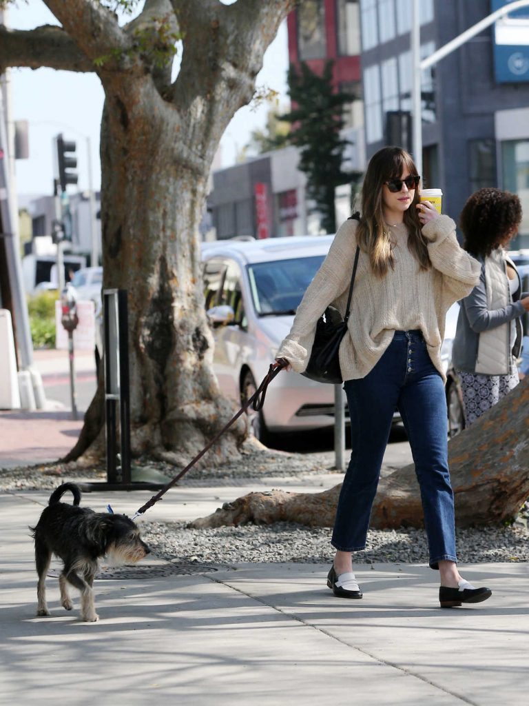 Dakota Johnson Goes Shopping with Her Dog on Melrose Place in Los Angeles 03/01/2018-1