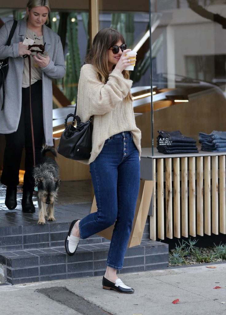 Dakota Johnson Goes Shopping with Her Dog on Melrose Place in Los Angeles 03/01/2018-5