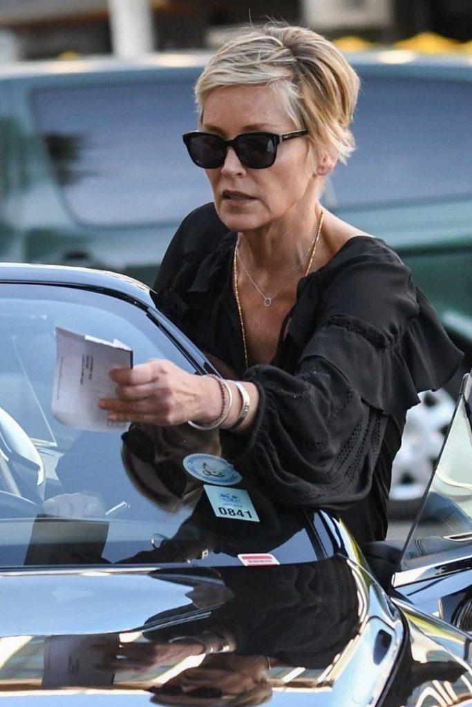 Sharon Stone Was Spotted Out in Beverly Hills 03/06/2018-4