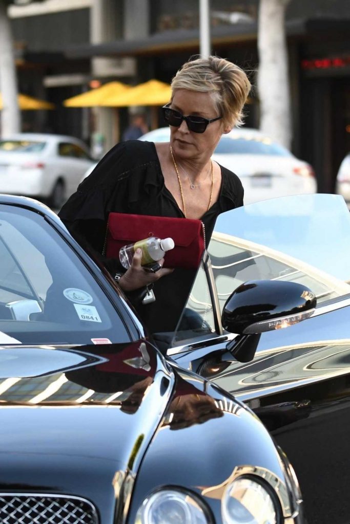 Sharon Stone Was Spotted Out in Beverly Hills 03/06/2018-5