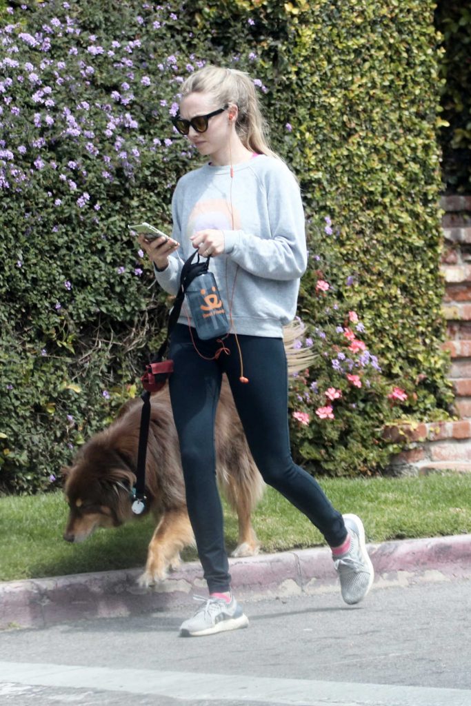 Amanda Seyfried Walks Her Dog Finn in Los Angeles 04/05/2018-5