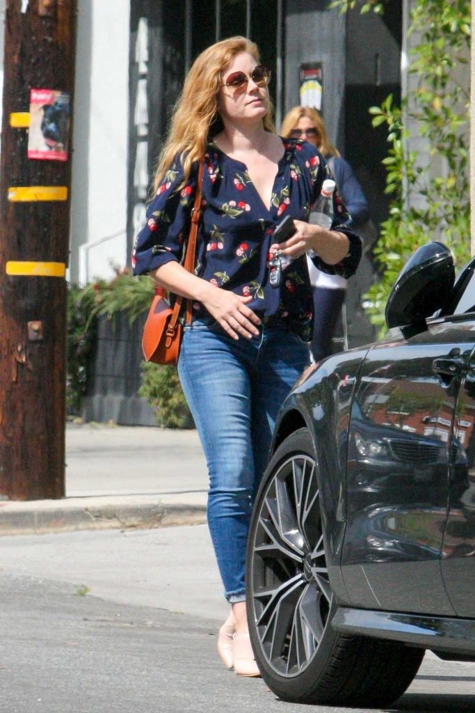 Amy Adams Was Seen Out in Los Angeles 04/06/2018-2
